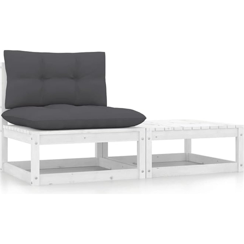 Sodo sofa 2 komplektas iš baltos pušies masyvo, skirtas sofai-lovai Gyvenamasis kambarys Sofa-lova Šiuolaikinis lauko sodas 805761
