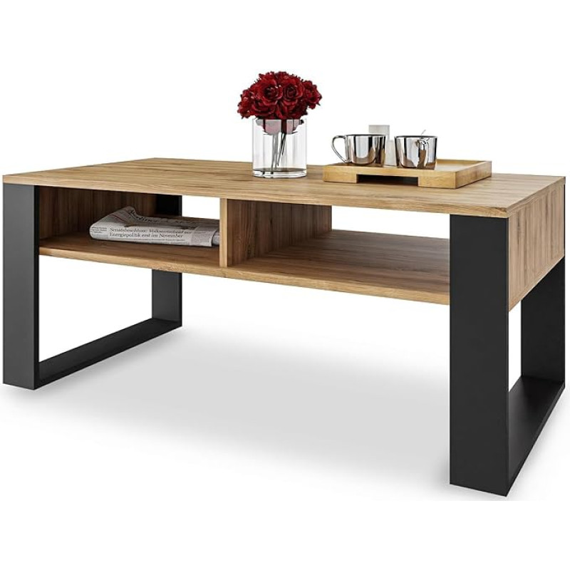 MeblePitus.pl Elegant Coffee Table 120 x 60 cm - Boho Style - Open Double Shelf - The Perfect Decoration Living Room for Your Home - Large Surface - Made of Durable Sofa Table Materials