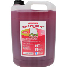 Raspberry Slush Concentrate 5 L, Mixing Ratio 1:5 | Slush Ice | Crush Ice | Water Ice | No Artificial Colours | for Slushie Maker