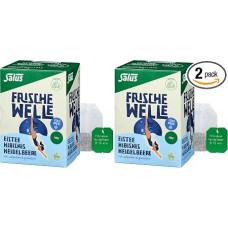 Salus – Frische Welle – Eistee Hibiskus Heidelbeere – 1x 15 Filterbeutel (33g) – fruchtiger Cold Brew Tee – Bio (Packung mit 2)