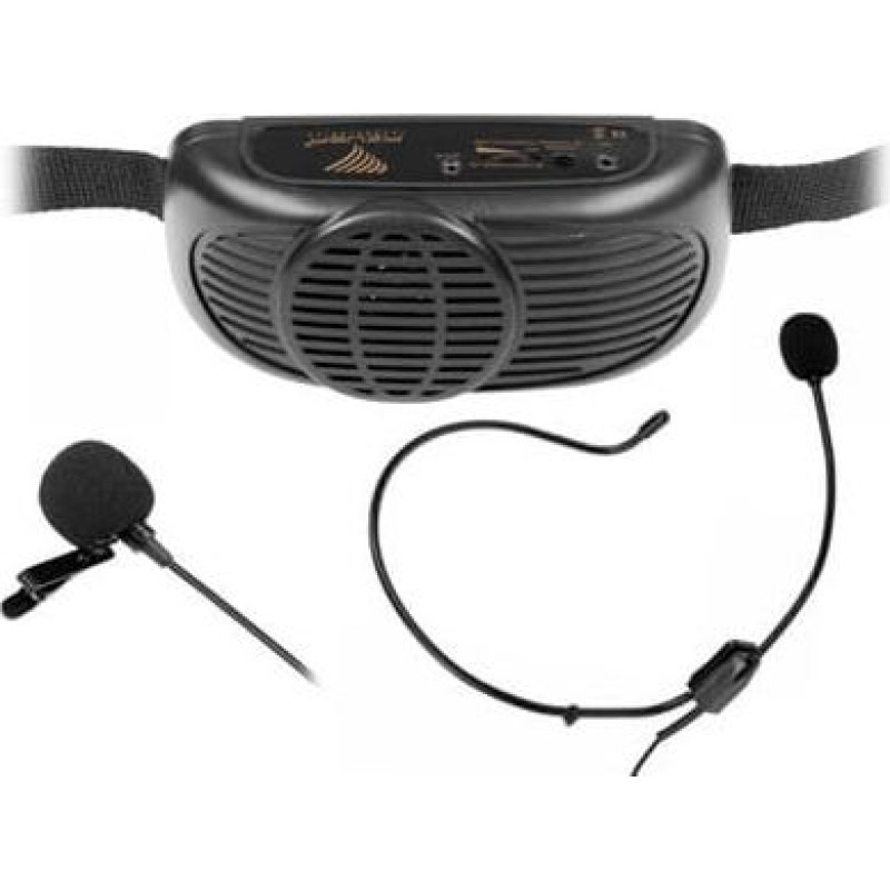 Rebel Portable Microphone PA Kit