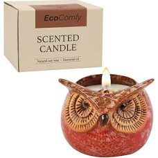 Dovanų žvakė moterims, 350 g, citrusinių vaisių kvapo žvakė su džiovintomis gėlėmis, kalėdinių žvakių dovanų rinkinys su 30 valandų degimo trukme, kalėdinių žvakių dovanų rinkinys su 30 valandų degimo trukme