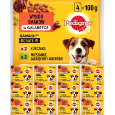 PEDIGREE Pouch Chicken & Lamb in Jelly - drėgnas ėdalas suaugusiems šunims - 13 pakuočių po 4 x 100 g maišelius