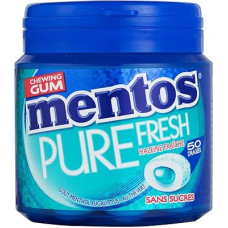 Mentos Gum Pure Fresh Menthol Eukalyptus - pakuotė su 4 dozėmis