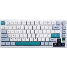 GK GAMAKAY TK75 V2 75 % tarpinė, tyli mechaninė klaviatūra su TFT ekranu, kabelinė / Bluetooth / belaidė RGB šviesų juosta, keičiama karštuoju režimu, 5 sluoksnių paminkštinimas, žaidimų klaviatūra (GamaKay Pegasus Switch)