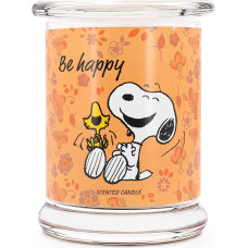 Peanuts Gift Idea (Be Happy)
