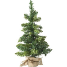 Žydinti Kalėdų eglutė 70 cm žalia
