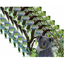 Stoff-Tischsets, waschbare Tischsets für Esstisch, 6er-Set,Tierischer Koala auf Baum
