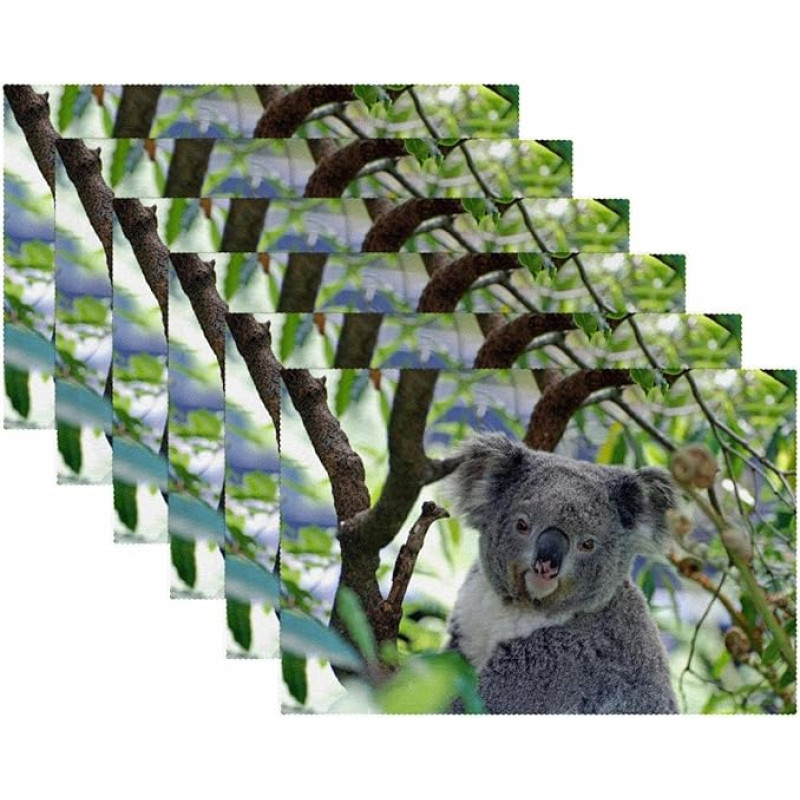 Stoff-Tischsets, waschbare Tischsets für Esstisch, 6er-Set,Tierischer Koala auf Baum