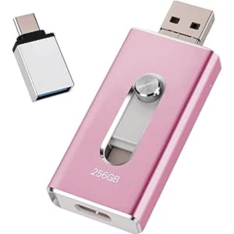 USB atmintinė 256 GB 