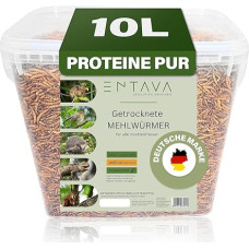 Džiovinti miltiniai sliekai Premium Quality Insect Snack Paukščiai, žuvys, Koi, vėžliai, graužikai, ropliai, paukščių maistas, laukiniai paukščiai, ežių maistas