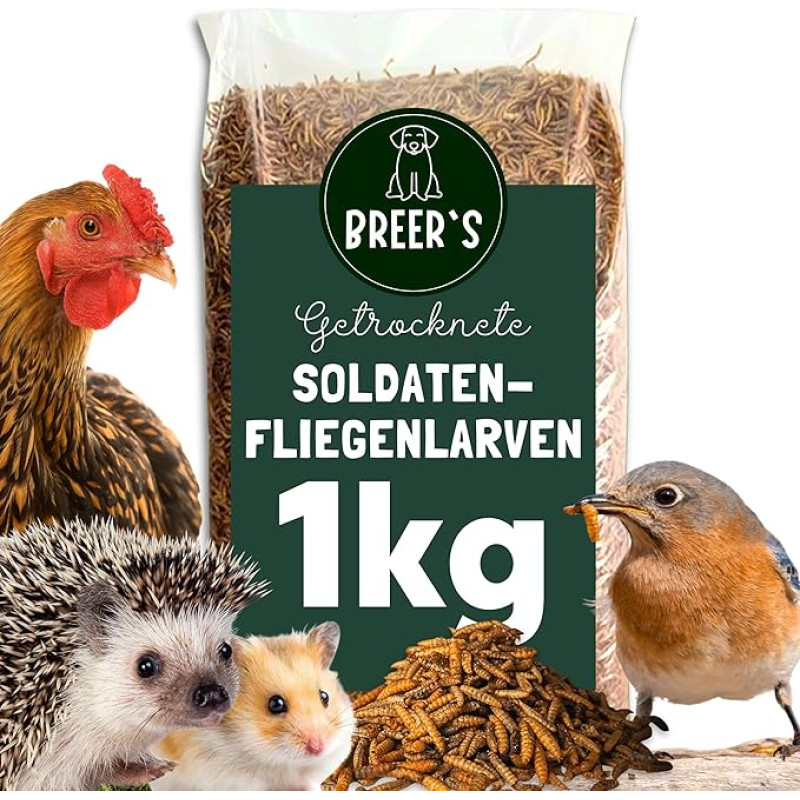 BREERs Soldier Fly Larvae Džiovintos 1 kg maistas Laukinių paukščių maistas Visus metus Vabzdžių užkandis Ežio maistas Žiurkėnas Voverė