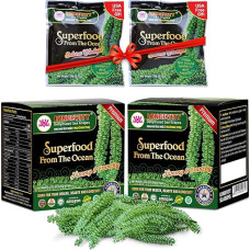 Longevity Sea Grape | Sea Grapes | Umibudo Grape Seaweed 12 x 20 g | Raw Food | Vegan Caviar | for Crisp Salads