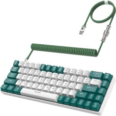 YINDIAO T8 60% Gaming Keyboard, 68 Keys, Compact, Wired, Mechanical Mini Keyboard with 18 Chroma RGB Backlight, Blue Switch, USB-C Spiral Keyboard Cable, for PC, PS4 Green
