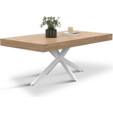 IDMarket - ALIX stačiakampio formos kavos staliukas 110 cm 