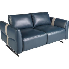 Ángel Cerdá - Mėlynos odos sofa 