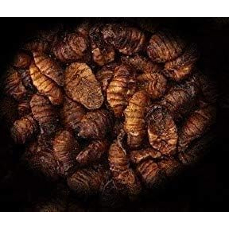 Fish Food Sahawa Pond Food Protein Snack 3 L Silkworms