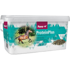 Pavo ProteinPlus | Highly Concentrated Protein Source | 7 kg