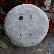 TEASOULTea Soul • Wild Forest Puer Sheng (roher) Tee • Hochwertiger chinesischer Tee • Ernte 2017 • 100g Packung • TEA SOUL