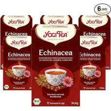 YOGI TEA Echinacea, Ayurvedic Organic Spice Tea, Naturally Caffeine-Free, with Rooibos and Spices of the Orient, 6 x 17 Bags (102 Tea Bags in Total)