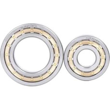 NUP 417 418 419 420 422 424 EM. cilindrinis ritininis guolis (NUP424EM)