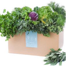 Fresh Box Salad & Herbs (6 kg)