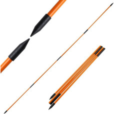 Golf Alignment Sticks Pack of 2 Foldable Golf Practice Poles 150 cm 4 Sections Alignment Sticks Alignment Golf Training Aids with Transparent Storage Tube