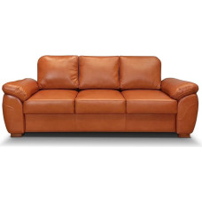 Natūralios odos 3-vietė sofa 