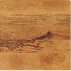 vidaXL Table Top, Wooden Table Top, Square Rustic, Replacement Table Top for Coffee Table, Side Table, Dining Table, Wooden Top, Solid Wood Mango
