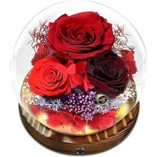 Konservuotos raudonos rožės, amžinosios rožės stikle su LED šviesa Dovanos moterims, merginai, žmonai, mamai, močiutei - gimtadienis, jubiliejus, vestuvių metinės, Kalėdos, Valentino diena, Motinos diena