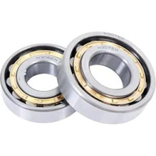 N213 214 214 215 215 216 217 218 219 220 221 222 224EM Cilindrinis ritininis guolis (N217)