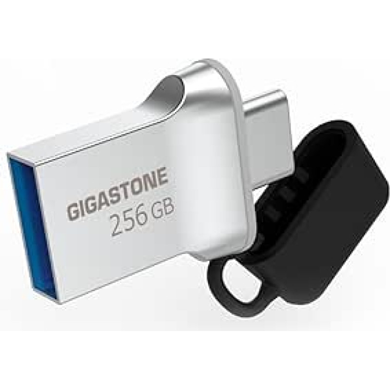 GIGASTONE 256GB 