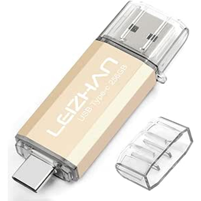LEIZHAN USB atmintinė 256GB C tipo atminties kortelė OTG Memory Stick 2-in-1 Flash Drive USB 3.0 rašiklinis diskas, skirtas asmeniniam kompiuteriui, nešiojamajam kompiuteriui ir kitiems USB-C įrenginiams (256GB, aukso spalvos)