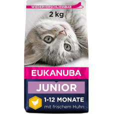 Eukanuba sausas kačiukų maistas 
