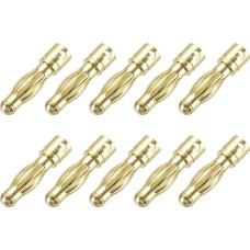 išteklių žemėlapis Bananenstecker, 4 mm, Bananenstecker für Lautsprecher, Kabel, RC-Batterie, ESC-Motor, 10 Stück