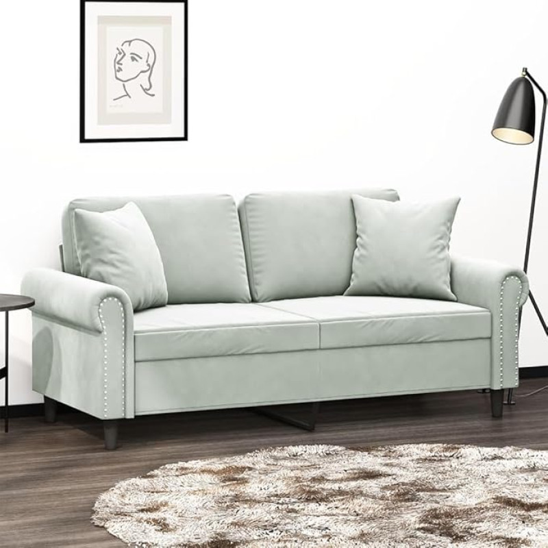 2 vietų sofa su dekoratyvine pagalvėle Sofa Sofa Lounge sofa Minkšta sofa Poilsio sofa Svečių sofa Dvigulė sofa Loveseat Sofos svetainei Miegamojo kambarys Svečių kambarys Šviesiai pilka 140 cm Velvetas