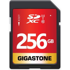 256 GB 