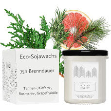 Hagi Winter Forest Scented Candle in Glass, Fragrance of Winter Air, Refreshing Fragrance of a Coniferous Forest, Burn Time Approx. 75 Hours, Fir Oil and Pine Oil, Vegan, Ecological Soy Wax