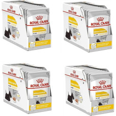 ROYAL CANIN Dermacomfort Mousse | 4 pakuotės | 4 x 12 x 85 g | Šlapias ėdalas suaugusiems šunims nuo 10-ojo gyvenimo mėnesio | Jautriai odai | Su Omega-3 ir -6 riebalų rūgštimis