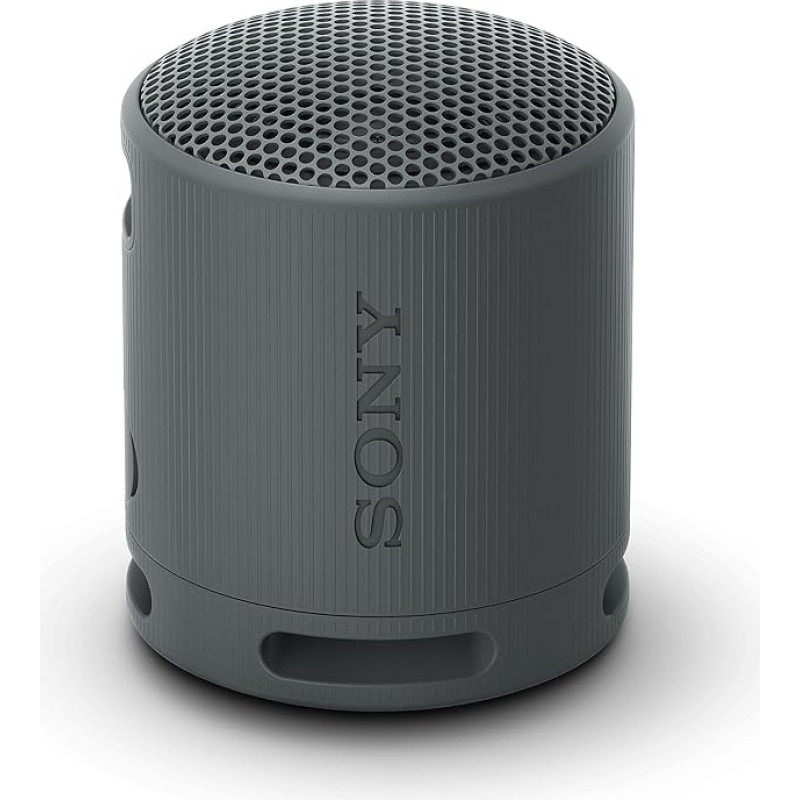 Sony SRS-XB100 Wireless Bluetooth Speaker, Portable, Lightweight, Compact, Outdoor, Travel, Durable, IP67 Waterproof and Dustproof, 16 Hour Battery, Carry Strap, Hands-Free Calling, Black