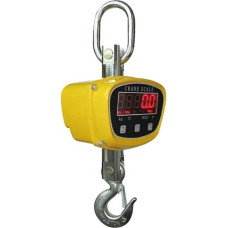 Industrieller Maßstab, 500-kg-Industriekranwaage. Kleiner Haken mit Sperm, sogenannte Direktsicht-Kranwaage,Genauer(CRANE SCALE)