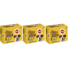 PEDIGREE Multipack - įvairių skonių (3 x 12 x 100 g, 4 rūšių suaugusiųjų paukštienos padažas su vištiena, kalakutiena, paukštiena, antiena)