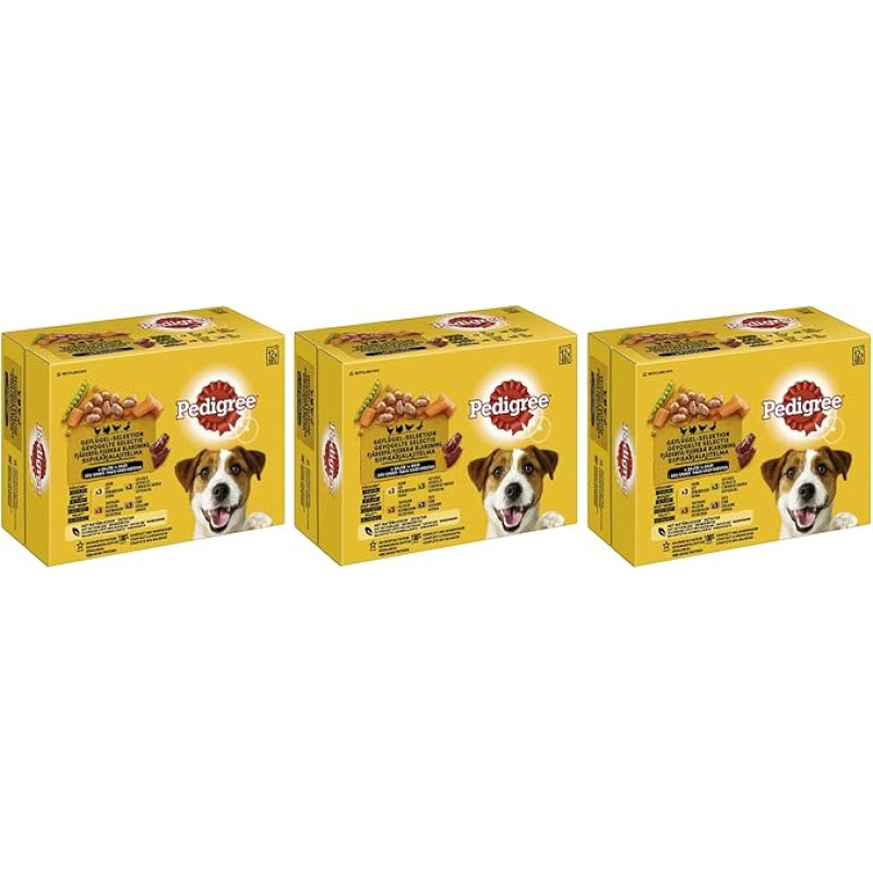 PEDIGREE Multipack - įvairių skonių (3 x 12 x 100 g, 4 rūšių suaugusiųjų paukštienos padažas su vištiena, kalakutiena, paukštiena, antiena)