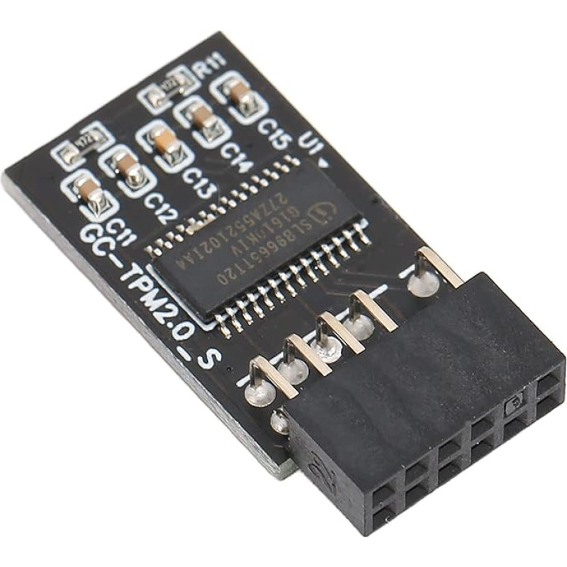 TPM 2.0 šifravimo saugumo modulis, skirtas 12 kontaktų LPC sąsajai, 12 kontaktų suderinamas su LCP SPI TPM2.0 kontaktų pagrindinėmis plokštėmis, TPM PCB LPC 