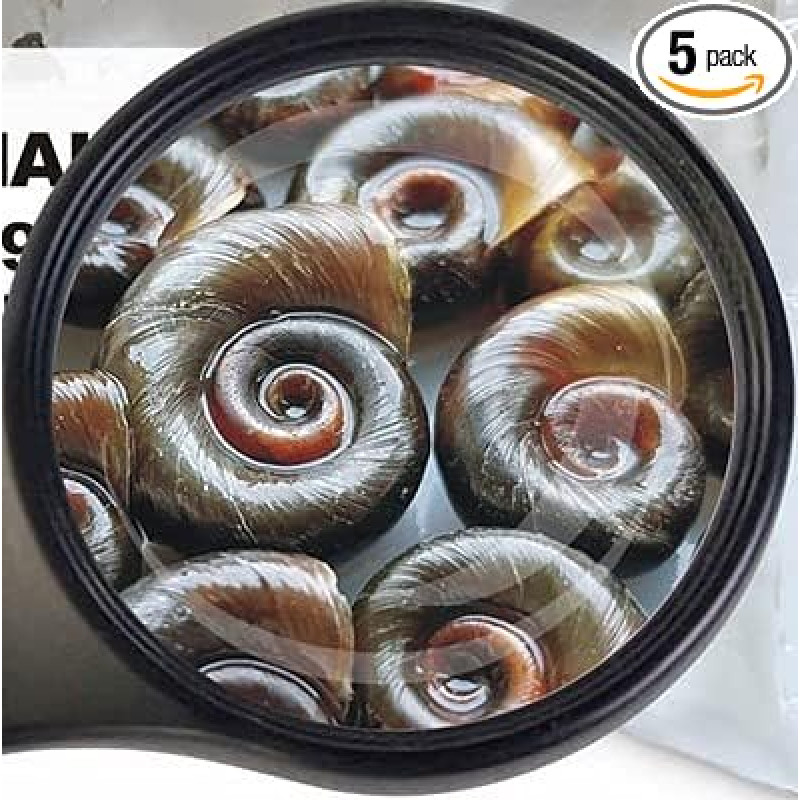 Gyvas maistas Sahawa Posthorn Snails Medium Fish Food 5 x 90 ml Maisto sraigės