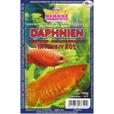 Daphnia Frozen Food Intensive Red = Water Fleas 10 x 100 g Blister Fish Food Packed with Dry Ice -78°C, akvariumas, akvariumas, žuvų maistas, Frost Food