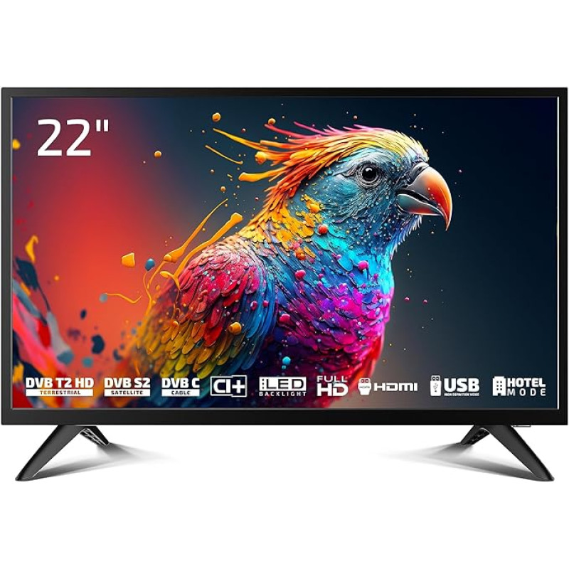 DYON Enter 22 Pro X2 55 cm (22 colių) Full HD televizorius (trigubas imtuvas (DVB-C/-S2/-T2), viešbučio režimas, USB medijos grotuvas) [2023 m. modelis], juodas