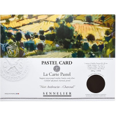 Sennelier La Carte 40 x 27,9 cm vienspalvė pastelinių kortelių dėžutė, anglis