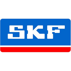 SKF 6302/B64 SKF 6302/B64 vienos eilės giliojo griovelio rutulinis guolis