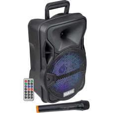 Garsiakalbis su belaidžiu mikrofonu 300 W PMPO